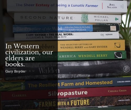 Photo post from hungryhollowfarm.