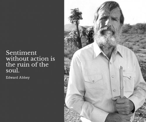 Photo post from hungryhollowfarm.