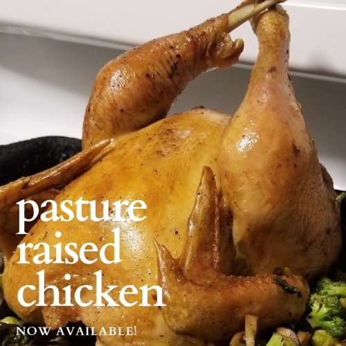 Photo post from hungryhollowfarm.