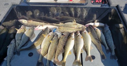 Photo post from epolodgefishingteam.