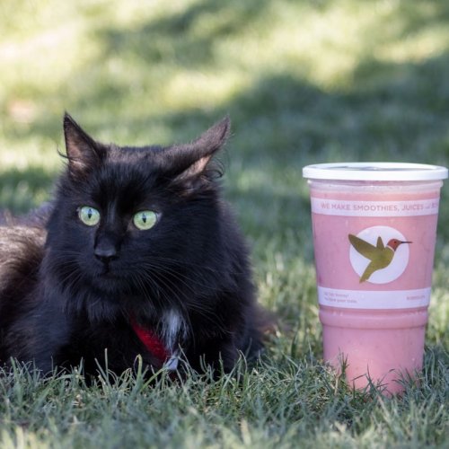 Photo post from robeks.