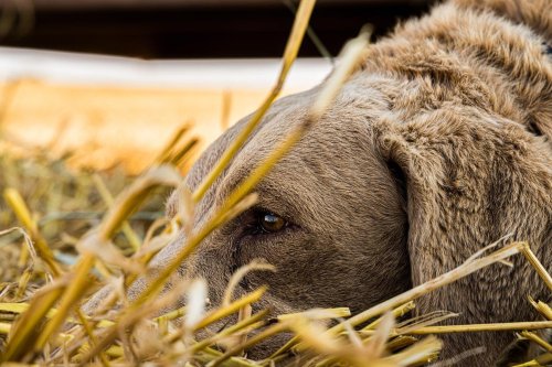 Photo post from northernskiesoutfitters.