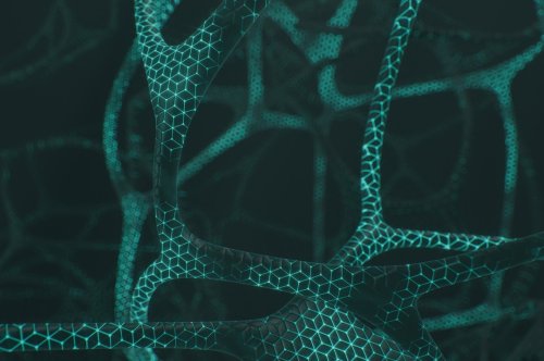 Photo post from kaestleski.