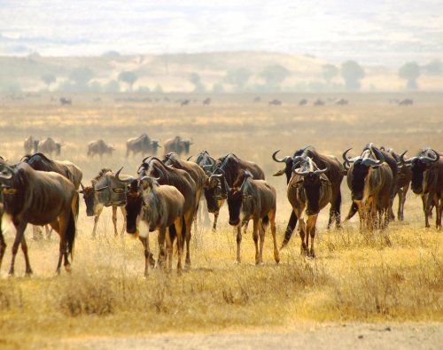 Photo post from taucktravel.