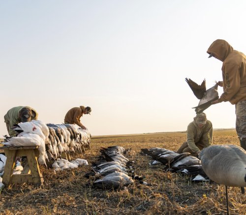 Photo post from northernskiesoutfitters.