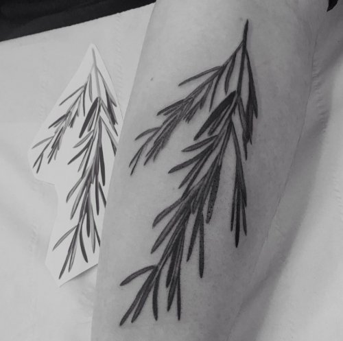 Kurtis Weaver tattoo  Rosemary sprig from today I have time in August for  tattoos message me for info             tatuointi 