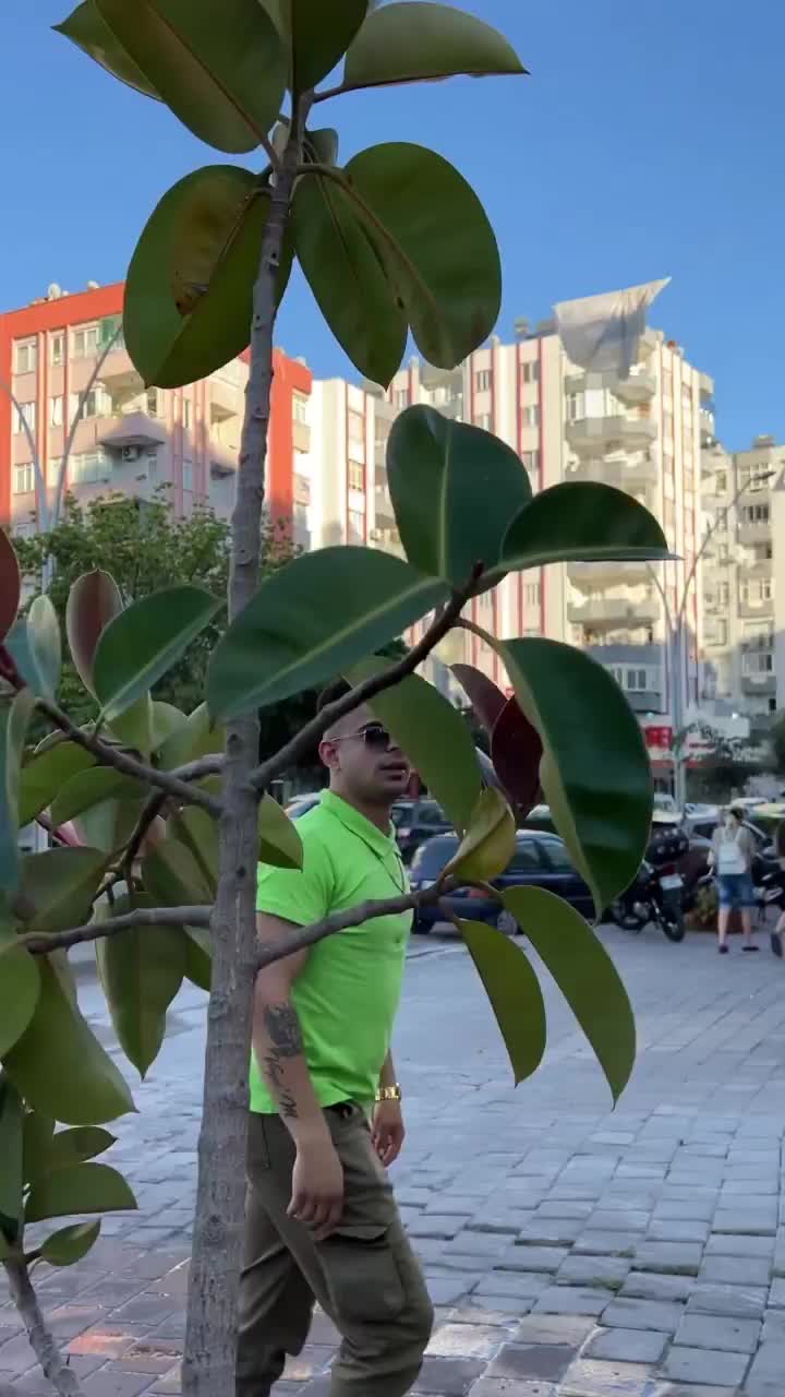 Video post from katmercidayiadana.