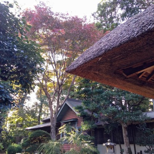 PostPhoto