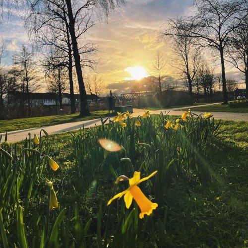 Photo post from visitoirschot.