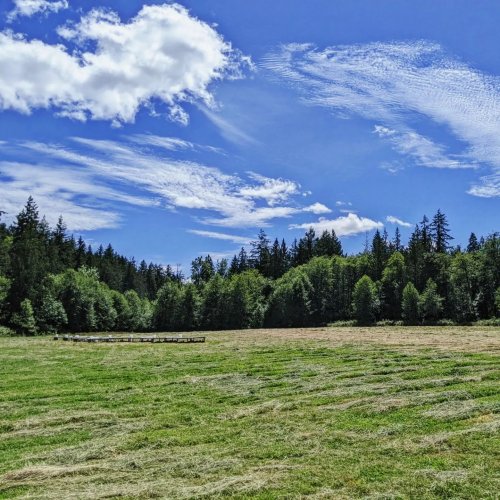 Carousel post from hungryhollowfarm.