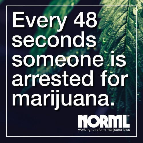 Photo post from kynorml.