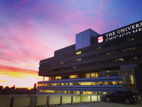 Photo post from uchicagooptom.