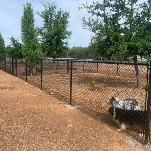 Photo post from topchoicefencing.