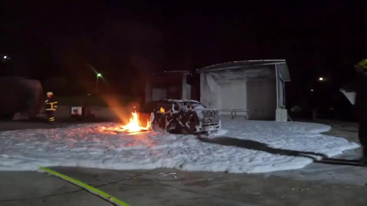 Video post from ff_stellingen.