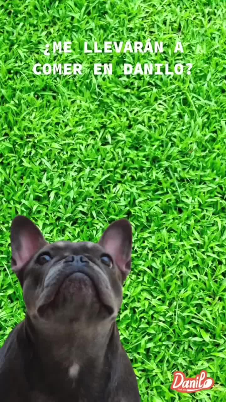Video post from danilo_restaurante.