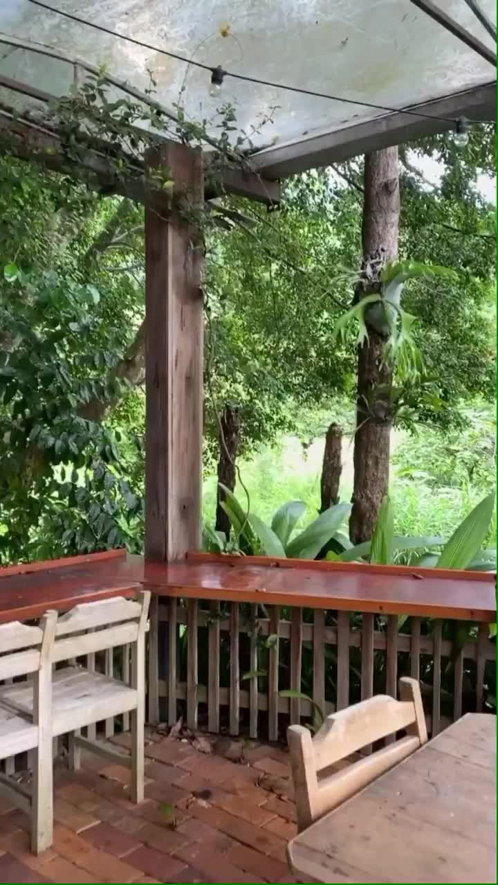 Video post from currumbinvalleyharvest.
