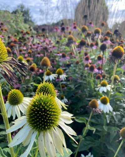 Photo post from sussexprairies.