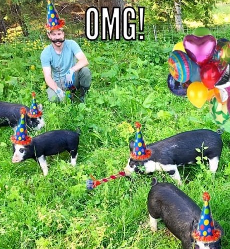 Photo post from hungryhollowfarm.