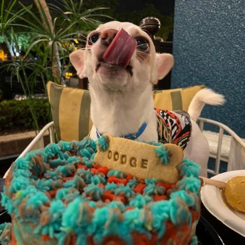 Carousel post from morogrill.