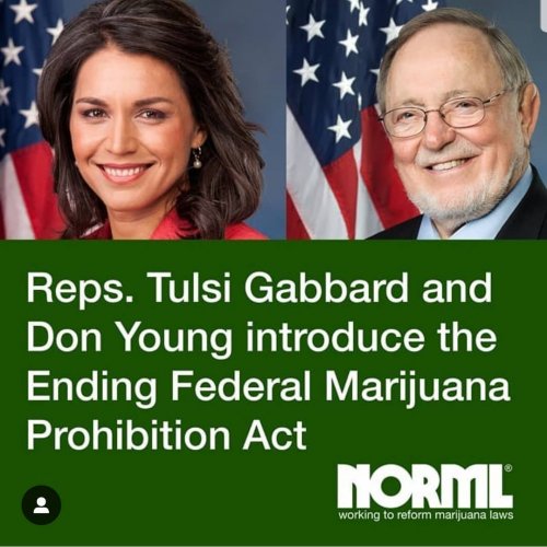 Photo post from kynorml.