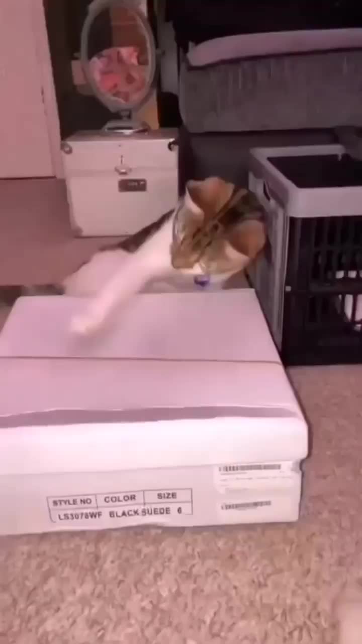 Video post from lumoreiracursos.