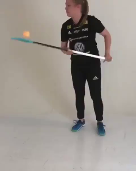 Video post from kauppitwins.