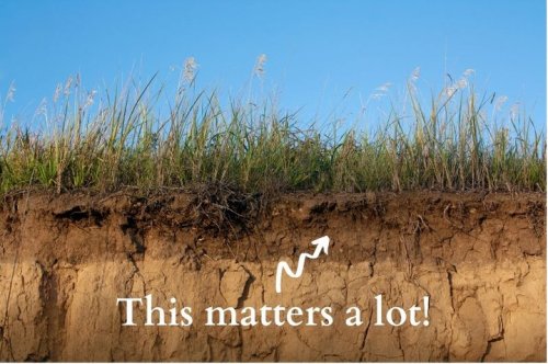 Photo post from hungryhollowfarm.