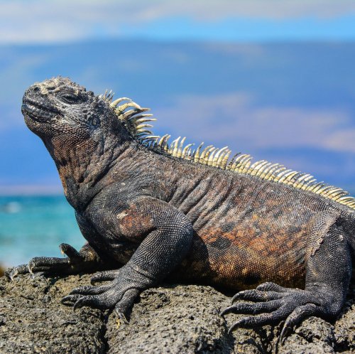 Photo post from taucktravel.