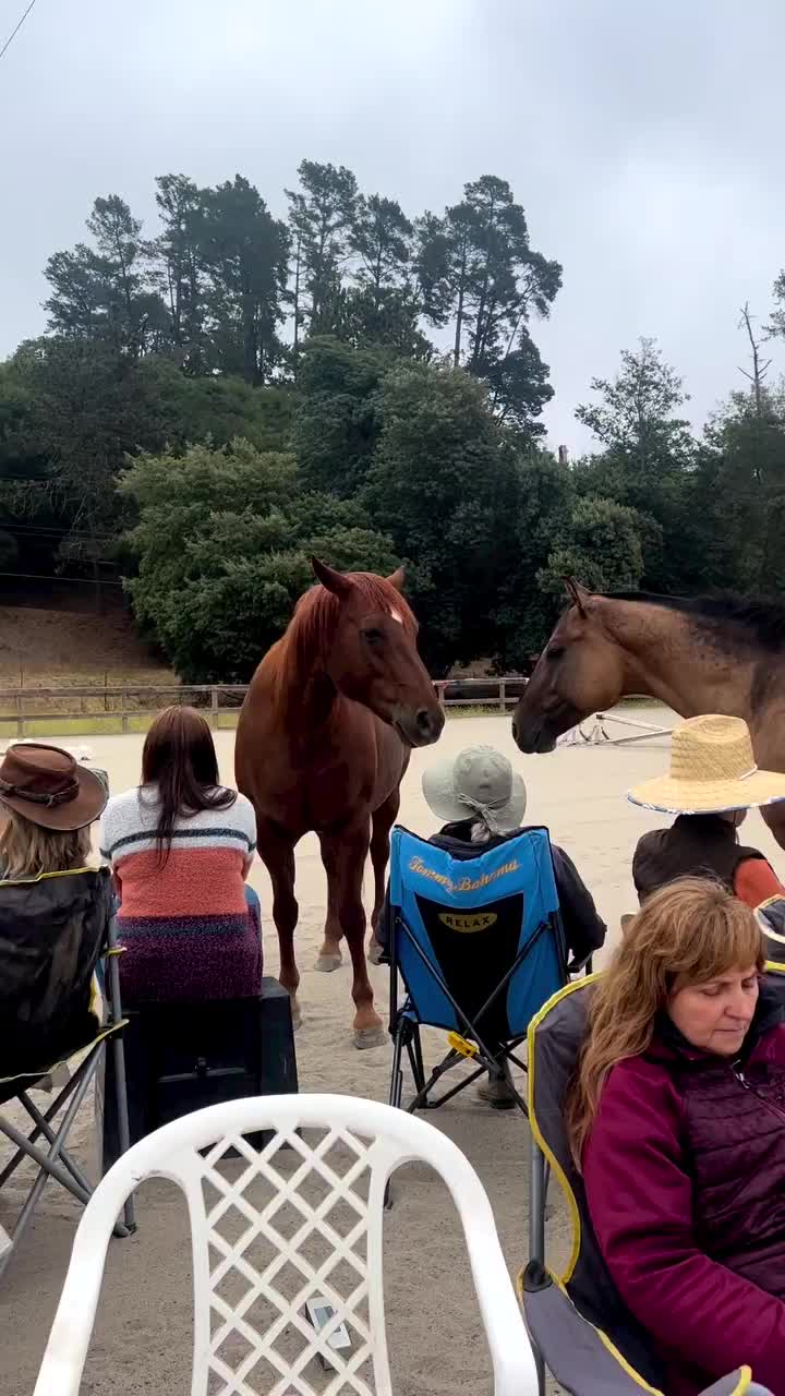 Video post from __amber_lydic__.