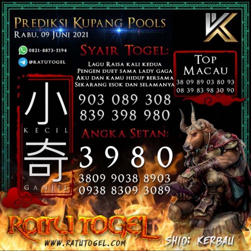 Photo post from bocorantogeltotomacau.