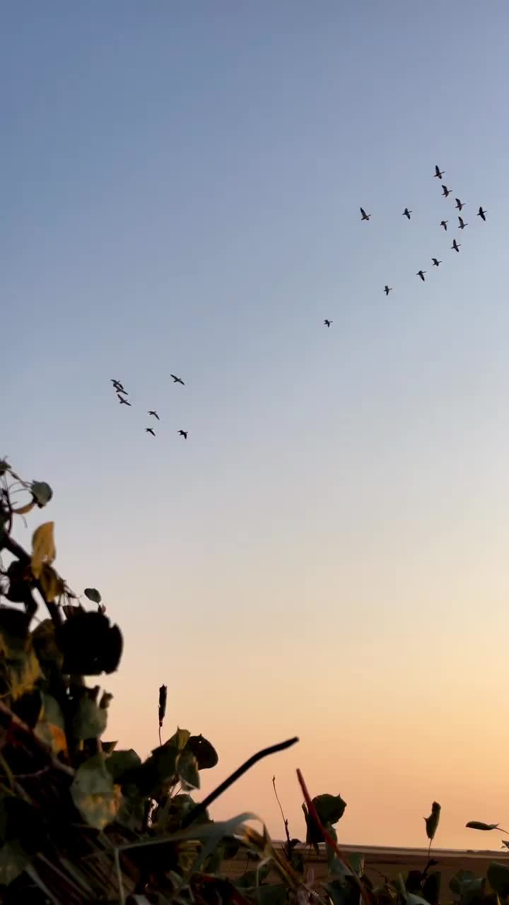 Video post from northernskiesoutfitters.