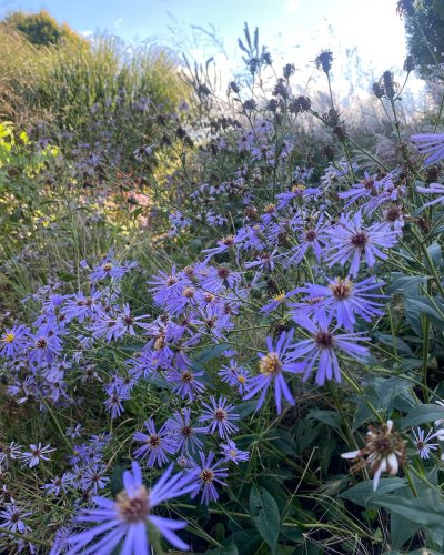 Photo post from sussexprairies.