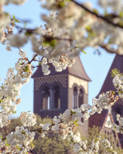 Photo post from visitoirschot.