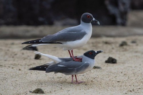 Photo post from taucktravel.