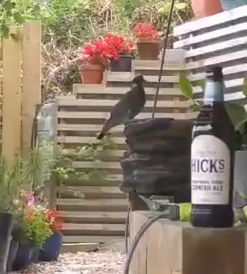 Video post from scott.parry.associates.