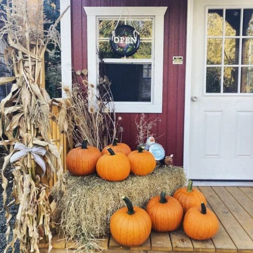 Photo post from hungryhollowfarm.