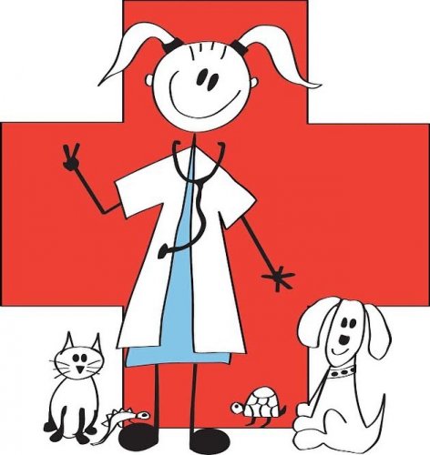 Photo post from familyanimalhospitalcm.