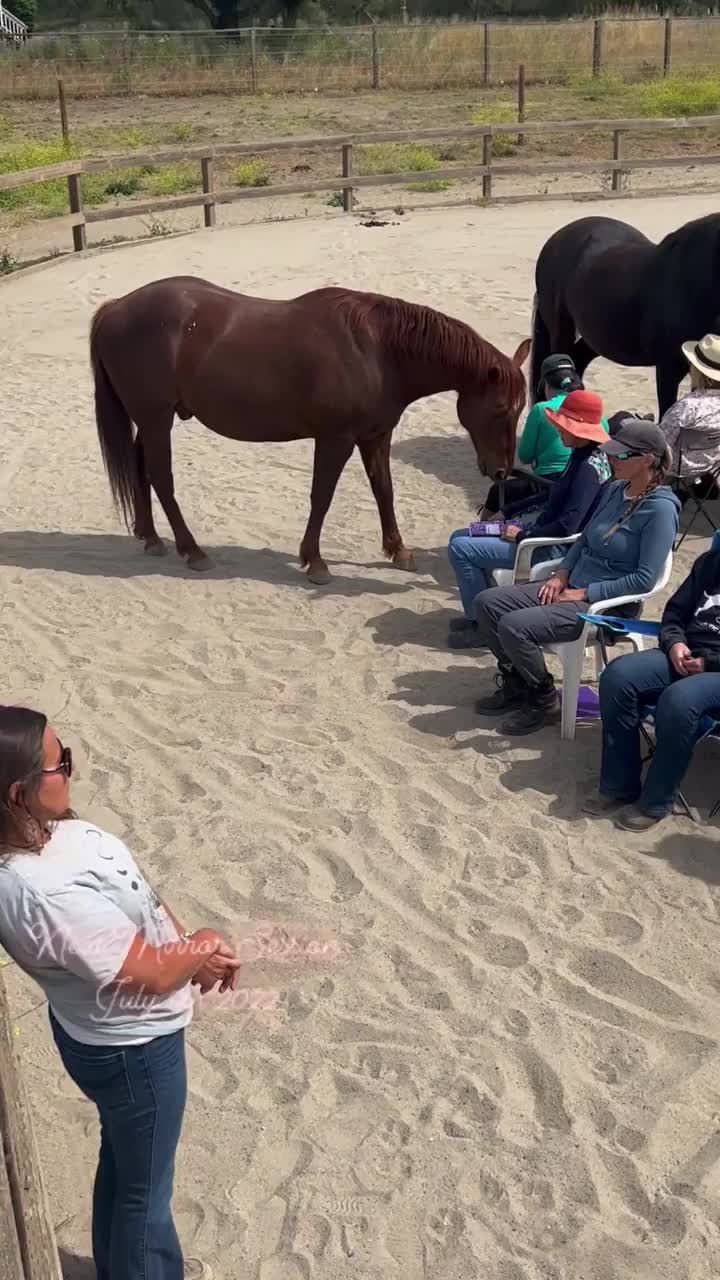Video post from __amber_lydic__.