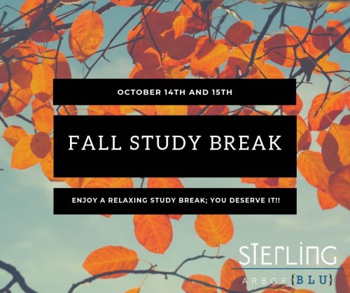 Photo post from sterlingarborblu.