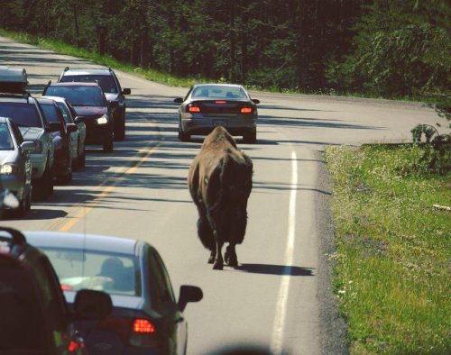 Photo post from taucktravel.