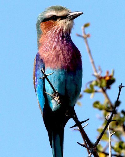 Photo post from taucktravel.