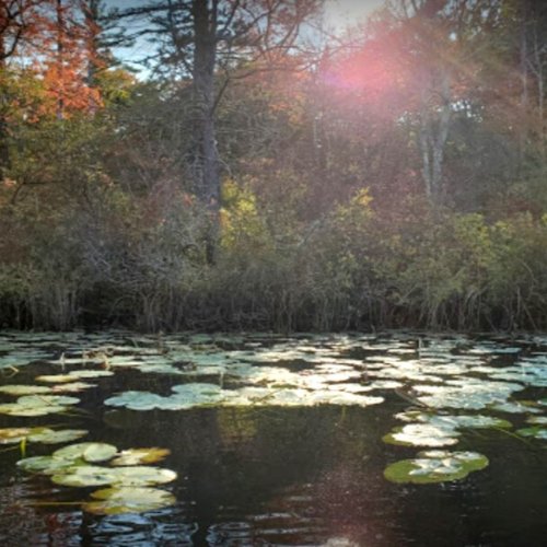 Photo post from hotelonnorth.