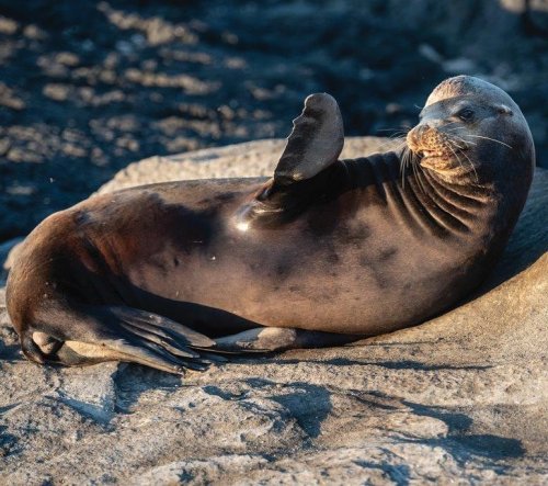 Photo post from taucktravel.