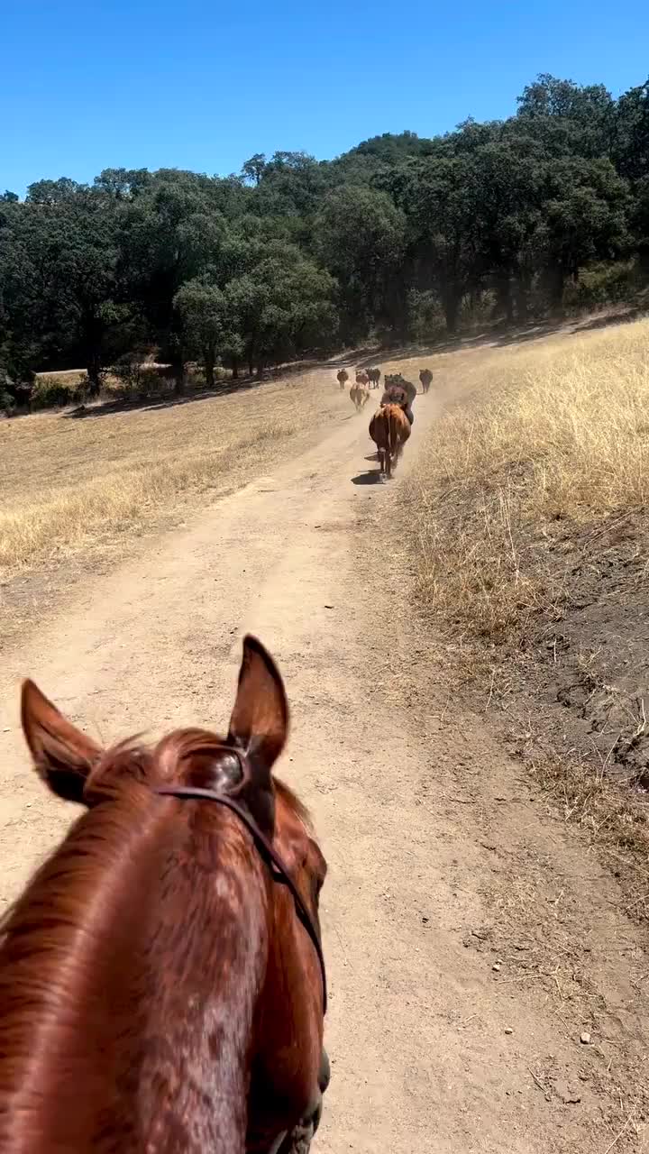 Video post from __amber_lydic__.