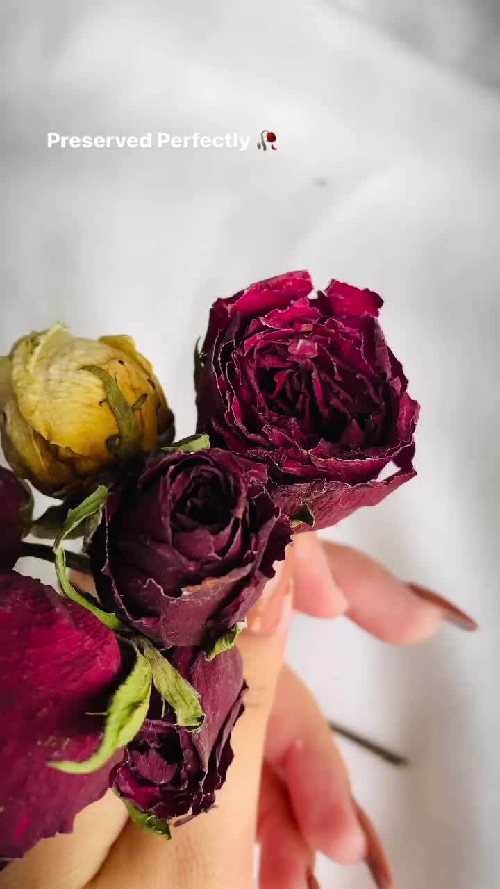 Video post from art_by_kashish_.