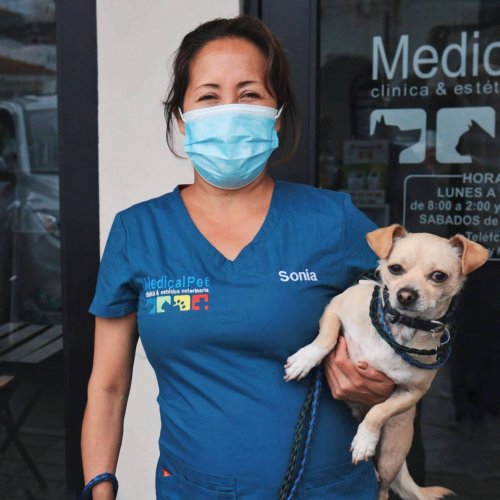 Photo post from medicalpettj.