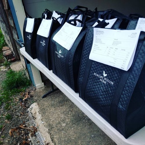 Photo post from hungryhollowfarm.