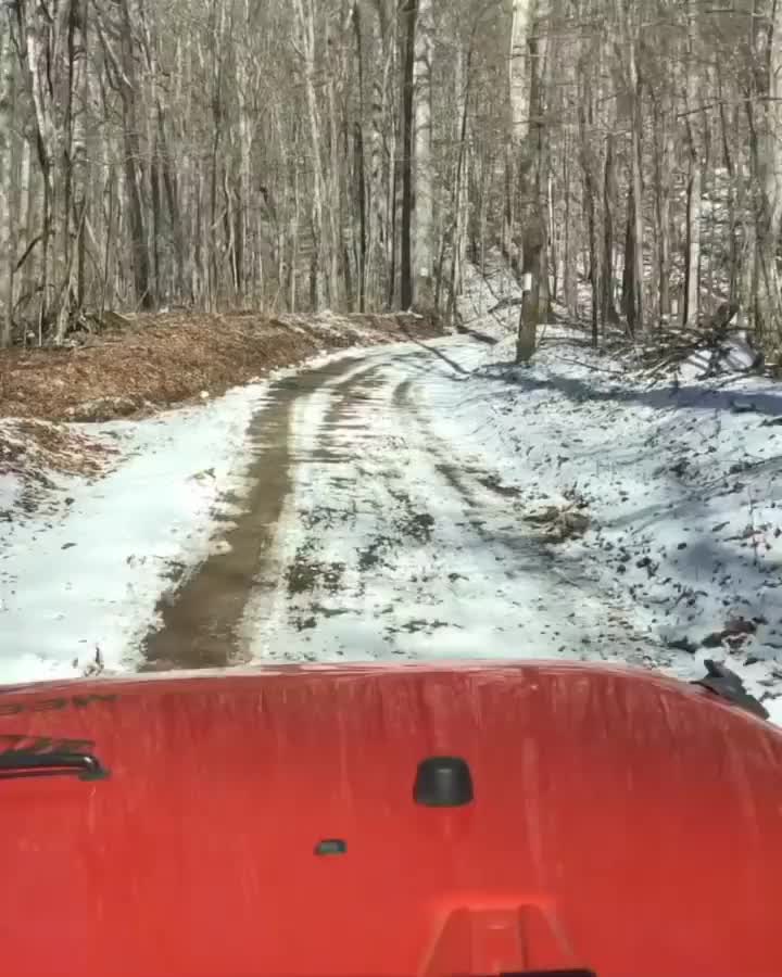 Video post from bhhsmmr.