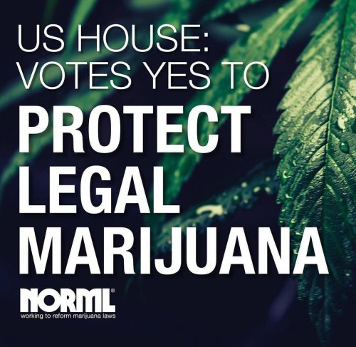 Photo post from kynorml.
