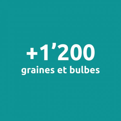 Photo post from ricardo_ch.fr.